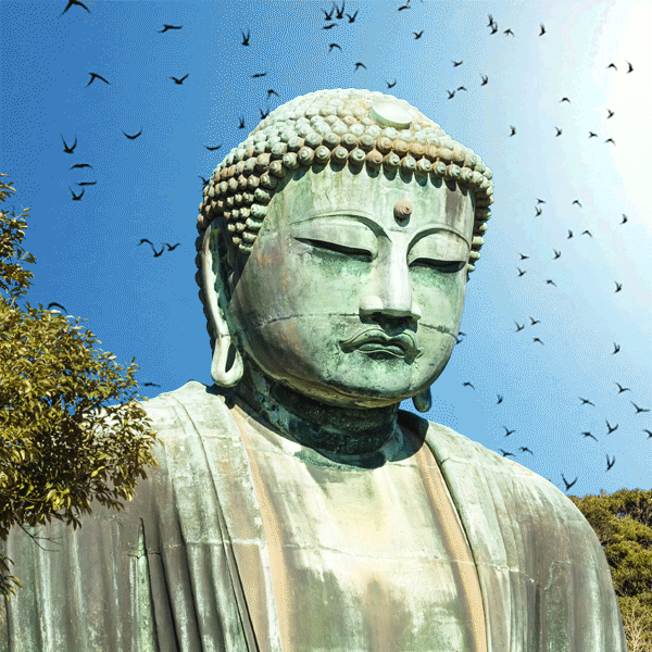 Shiatsu Buddha GIF
